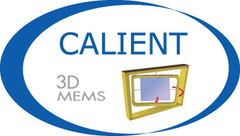 Calient Networks